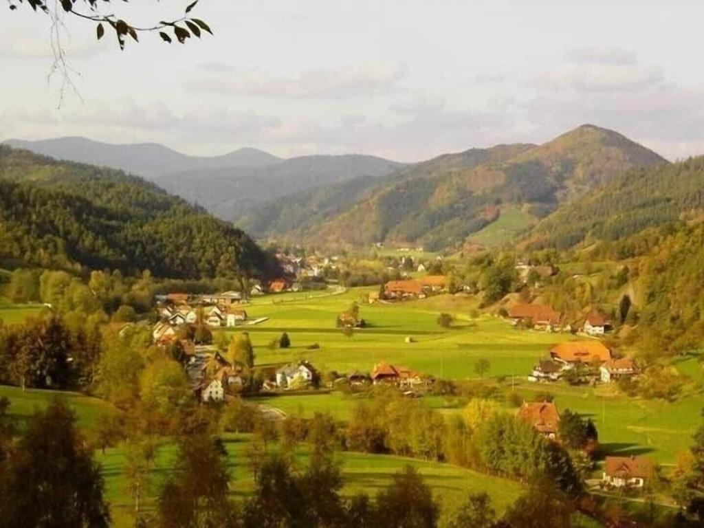Oberbauernhof - Wohnung "Am Garten" -- Moderne Fewo Im Schoenen Schwarzwaldhaus Gutach Ngoại thất bức ảnh